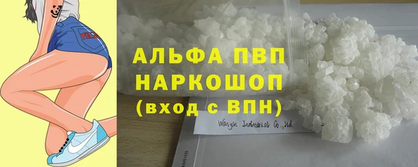 ешки Алексин