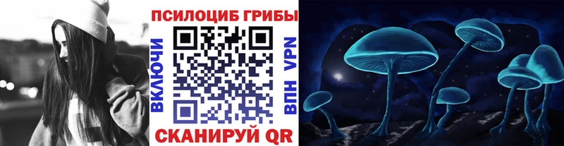 Псилоцибиновые грибы Psilocybe  Балаково 