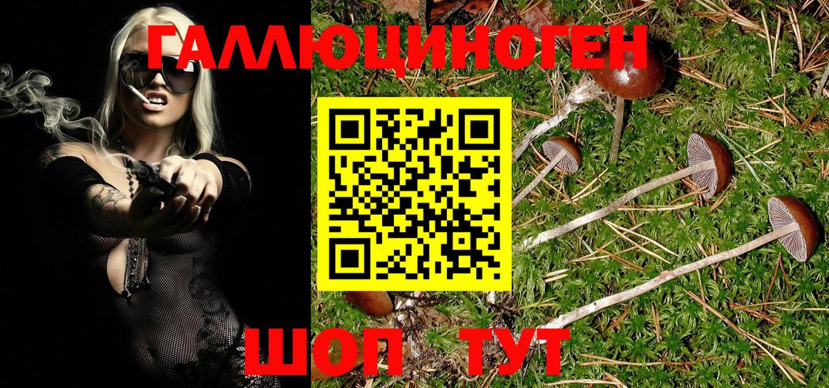 Псилоцибиновые грибы Psilocybe  Вход с VPN  Балаково  Псилоцибиновые грибы Magic Shrooms 